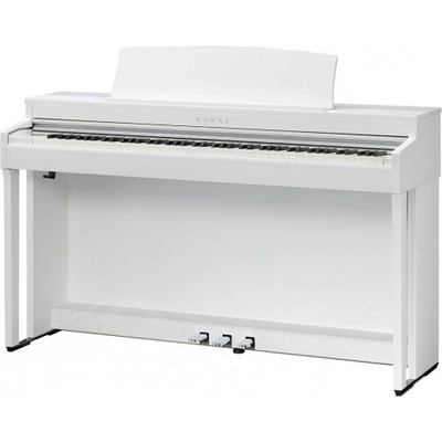 Kawai CN301W