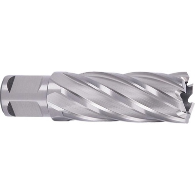 !!!! ABSE N-HS-W19-0230050