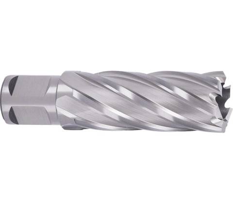 ABSE N-HS-W19-0230050