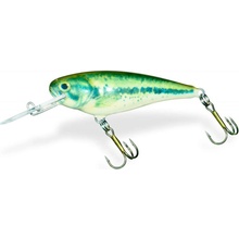 Dorado Invader 4 cm BS