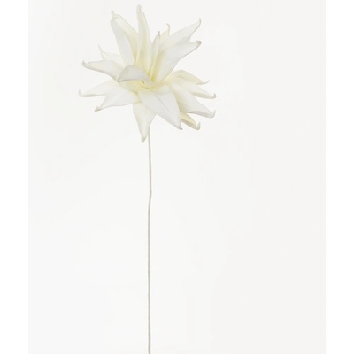 KS KVET PENA BIELA 95CM