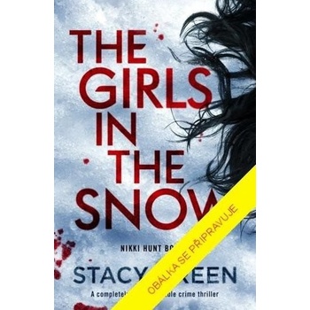 Dívky ve sněhu - Stacy Green