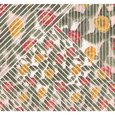 Komar Vliesová fototapeta Cactus rozměry 300 x 280 cm
