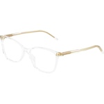 Dolce&Gabbana DG3424 3133
