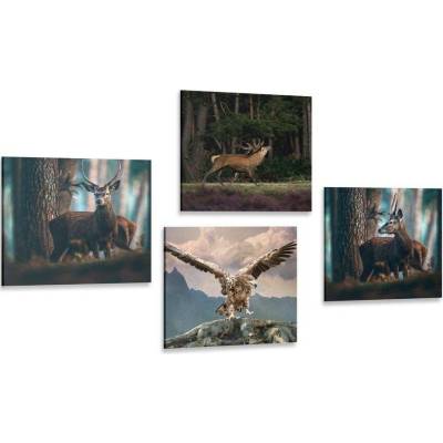 Set obrazů krása lesních zvířat - 4x 40x40