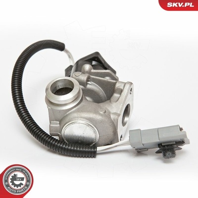 AGR - Ventil ESEN SKV 14SKV071