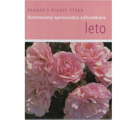 Leto