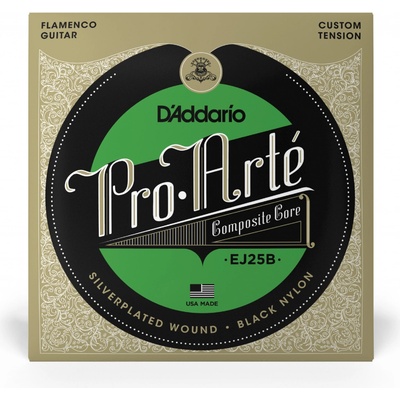 D'ADDARIO EJ25B