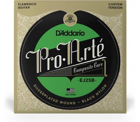 D'ADDARIO EJ25B