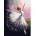 Twoje Hobby Painting by numbers - Ballerina in white 40x50cm