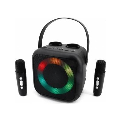 soundmaster BT2024SW karaoke kit Portable Wireless
