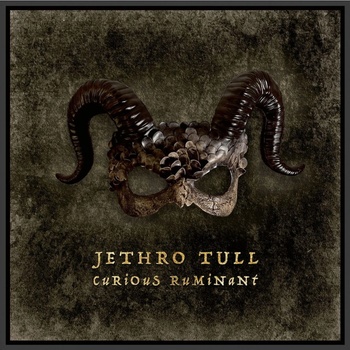 Jethro Tull Curious Ruminant Digipack CD