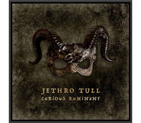 Jethro Tull Curious Ruminant Digipack CD