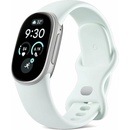 Google Fitbit Edge