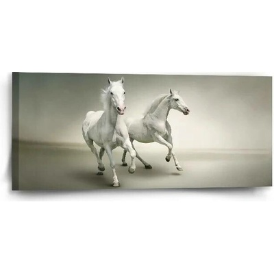 Sablio Obraz Dva bílí koně - 110x50 cm