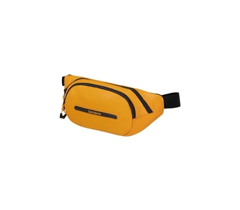 Samsonite Ecodiver