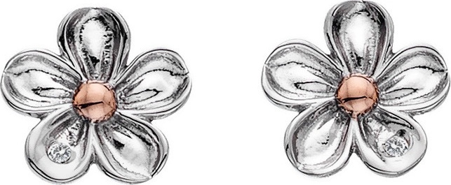 Hot Diamonds náušnice DE618