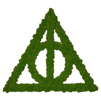 Machový obraz - Harry Potter Veľkosť rámu: 56x49cm