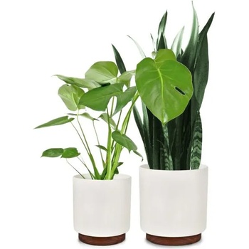 Image 1 of Blumfeldt Enspijk M/L Set (PP-WOODBASE-MW-MLSET)