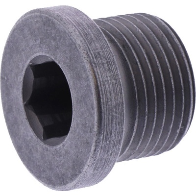 Magnetický výpustný šroub M20X1,5, BMW R1200 LC, R1250 | Zboží Auto