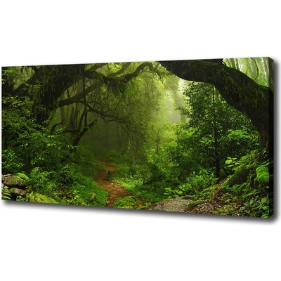 Foto obraz tlačený na plátne Prales v Nepále 100x50 cm