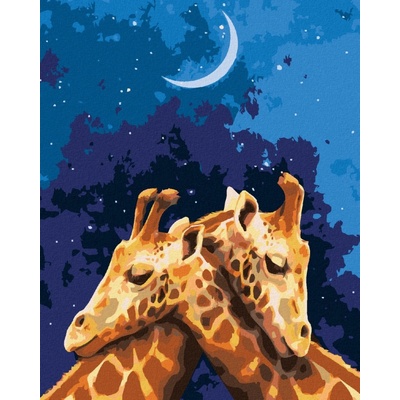 Zuty Malování podle čísel OBJÍMAJÍCÍ SE ŽIRAFY – Hledejceny.cz