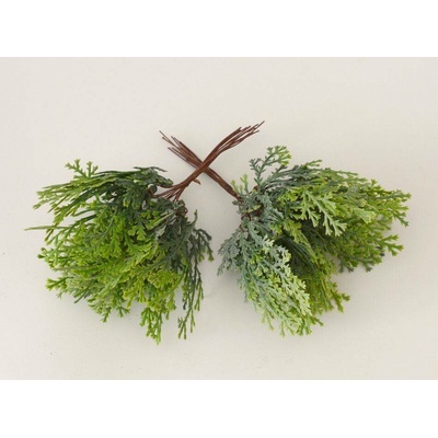 Thuja na drátku 6 ks