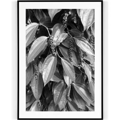 Plakát / Obraz Pepper 30 x 40 cm Tiskové plátno