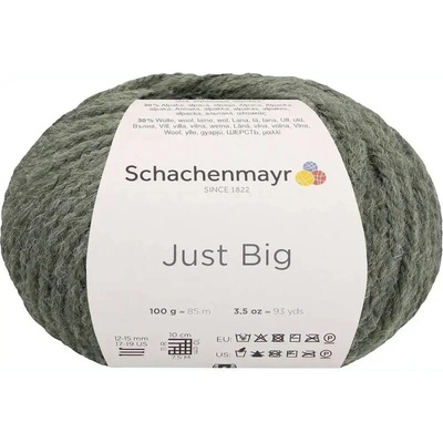Schachenmayr Just Big 70 Salbei meliert