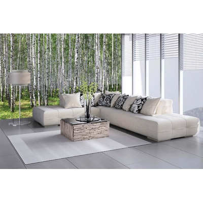 Самозалепваща се флизелинова фототапета брезова горичка iii. 375 x 250 см