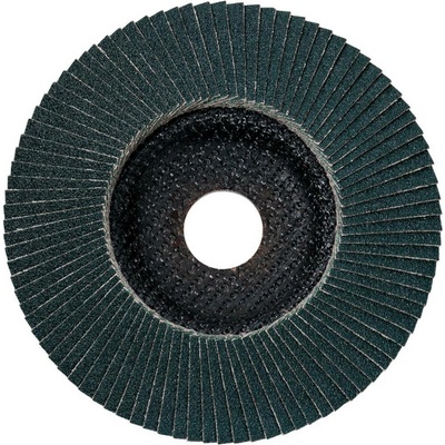 Metabo Lamelový brúsny kotúč 22.23 mm 624478000 10 ks