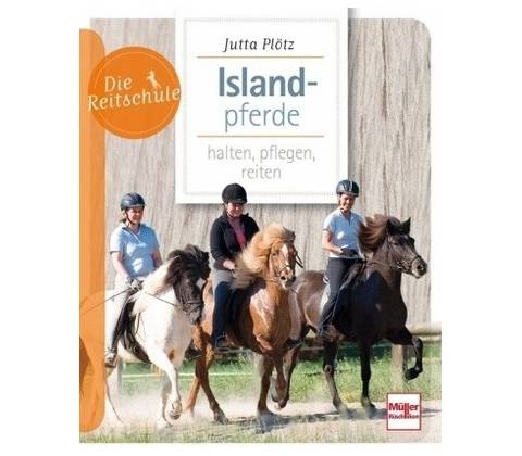 Islandpferde