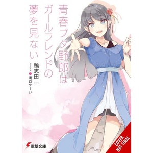 Rascal Does Not Dream of Girlfriend (ISBN: 9798855418293)