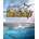 Fishing: North Atlantic