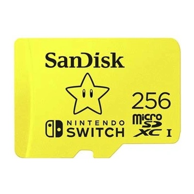 SanDisk SDXC Class 10 256 GB SDSQXAO-256G-GNCZN