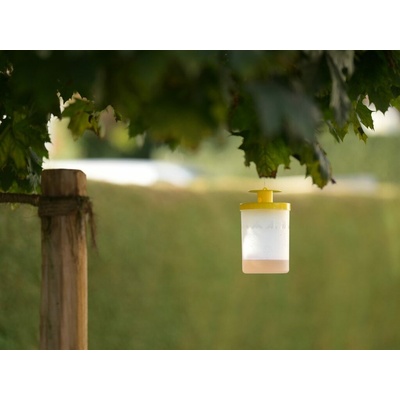 Lapač much FlyCage3 včetně návnady 25g – Zbozi.Blesk.cz
