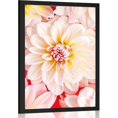 Plakát pastelové květiny dálie - 20x30 black