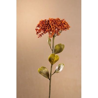 Paramit DRY FULL BLOOM SEDUM Aranžovací květina oranžová 46 cm