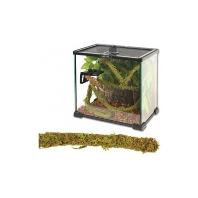 Repti Zoo Jungle Vines liána s mechem 2x200 cm – Sleviste.cz