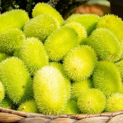Okrasná okurka Ježek Cucumis dipsaceus semena 6 ks