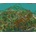 RollerCoaster Tycoon 2 Triple Thrill Pack