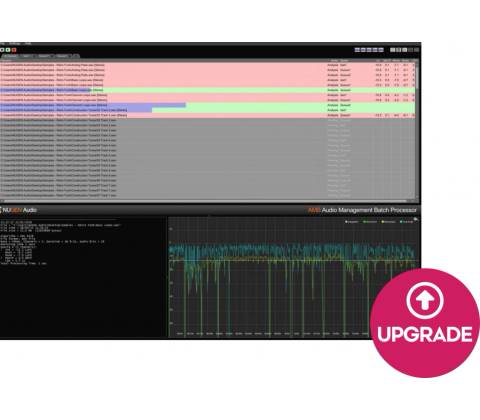 Nugen Audio AMB Queue Expansion