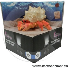 Hydor H2shOw Ocean Wonders Poustevnický krab 11x13x6 cm