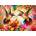 Enjoy - Puzzle Hummingbird Haven - 1 000 piese