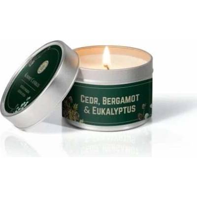 Kimmy Candles Cedr, Bergamot & Eukalyptus 100g