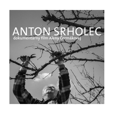 Anton Srholec Cesta, po ktorej som išiel