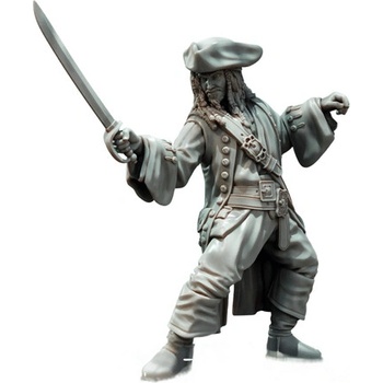 RS Design 3D Figúrka Pirate Borg kapitán Jake Swallow