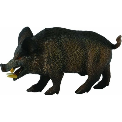 Collecta Diviak