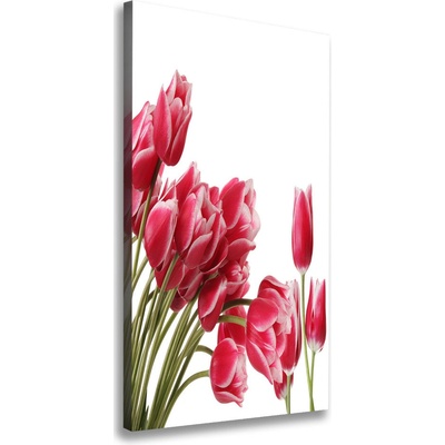 Vertikálny foto obraz na plátne Červené tulipány 50x100 cm