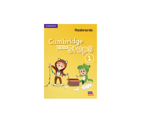 Cambridge Little Steps Level 1 Flashcards